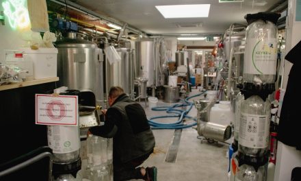 Brewing Beer and Sustainability: How Sustainable Can It Really Be?