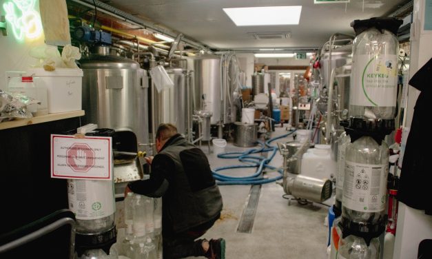 Brewing Beer and Sustainability: How Sustainable Can It Really Be?