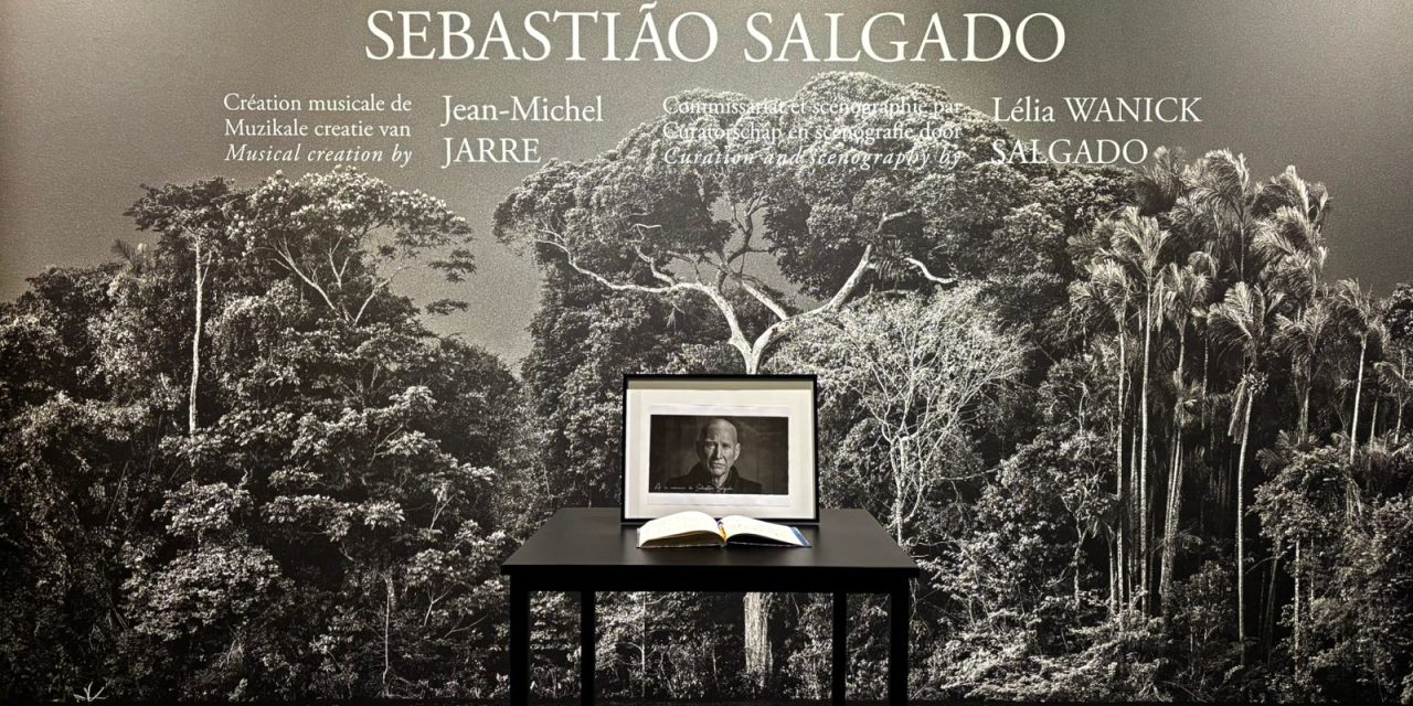 “Amazonia”: Art as catalyst for change