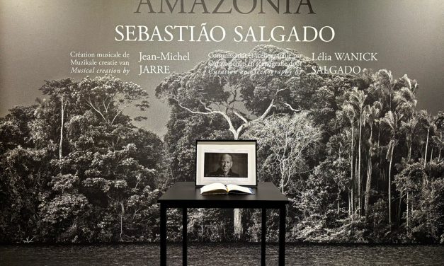 “Amazonia”: Art as catalyst for change