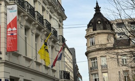 Enforcing Bilingualism in Brussels: A Law Under Pressure