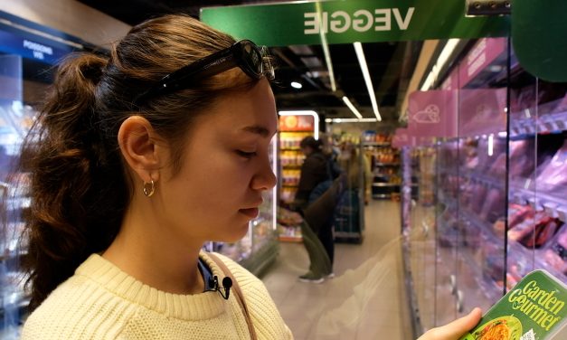 From Veggie Burger To Soy Disk?