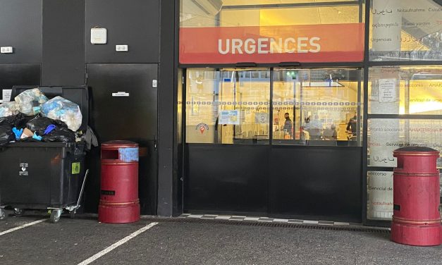 Public Healthcare in Paris and Spain: Comparing Challenges and Solutions