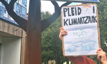 Netherlands cuts air pollutants below EU 2030 ceiling