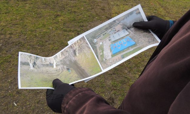 Outdoor festivals in the Netherlands are facing problems with locations: “We need to cherish and guard the space we have”