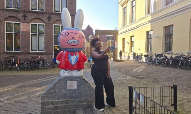 From Children’s Book to Adult Icon: Nijntje’s New Audience