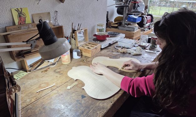 The hidden tradition of Dutch violins