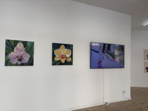 Photo: Femke Eelderink