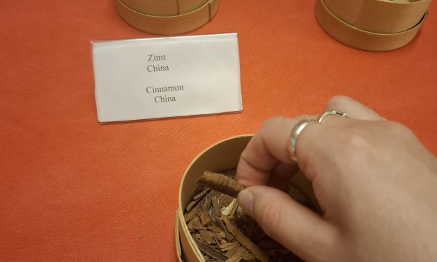 For the love of spice: Cinnamon’s impact