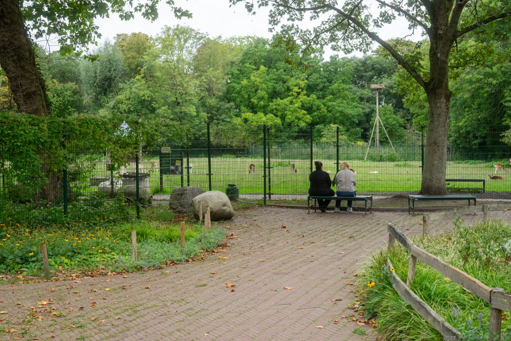 Two women sitting on a bench in front of a deer park