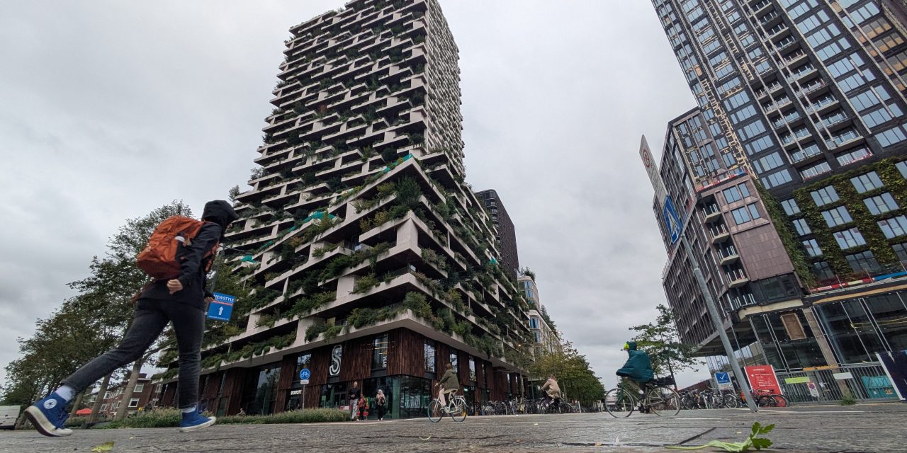 Europe’s new green trend: Sustainable or ‘greenwashing’?