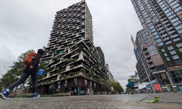 Europe’s new green trend: Sustainable or ‘greenwashing’?