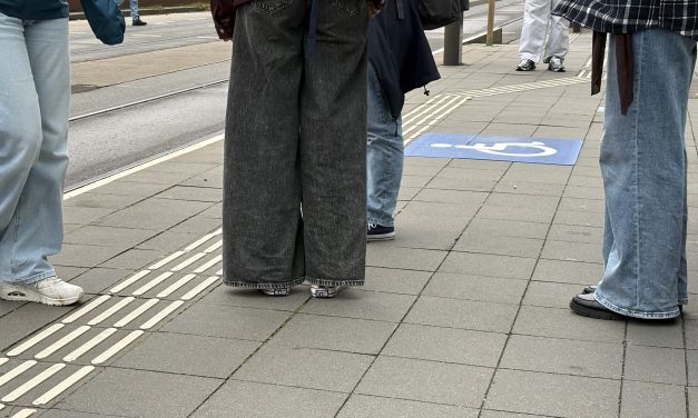 Wheelchair-accessibility in the Netherlands: “That is just my life the way it is, I don’t know any better”