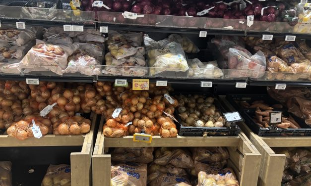 How drought is changing potato farming in the Netherlands
