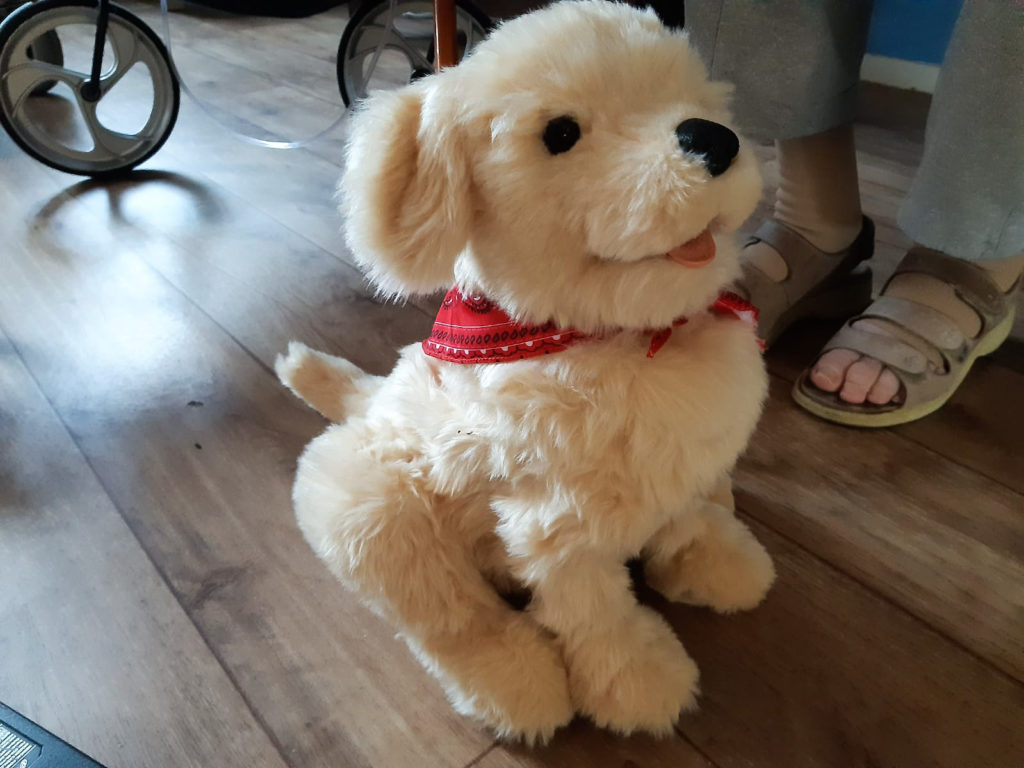 Afbeelding: Sebastiaan op de grond. Beeld: Theo van de Waal