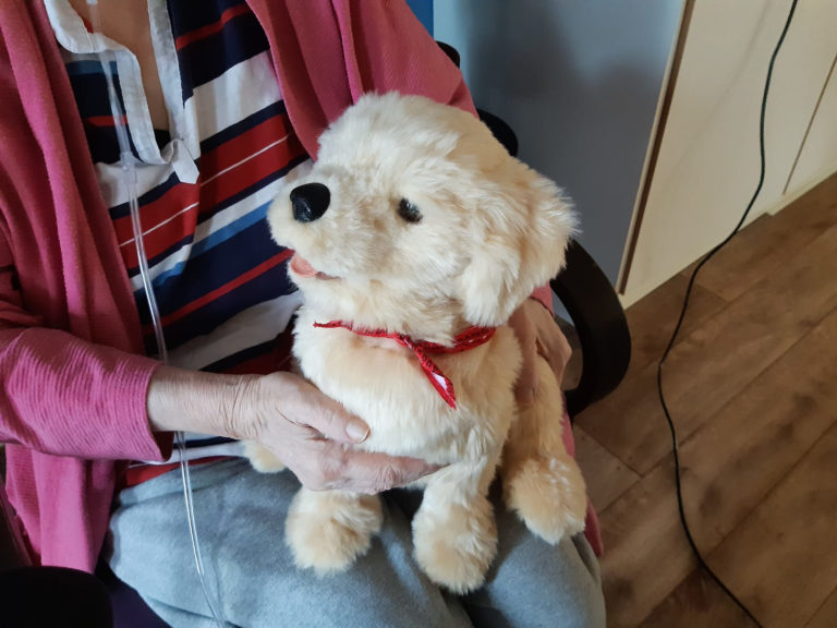 Afbeelding: Interactieve robothond Sebastiaan op de schoot van zijn baasje; Beeld: Theo van de Waal