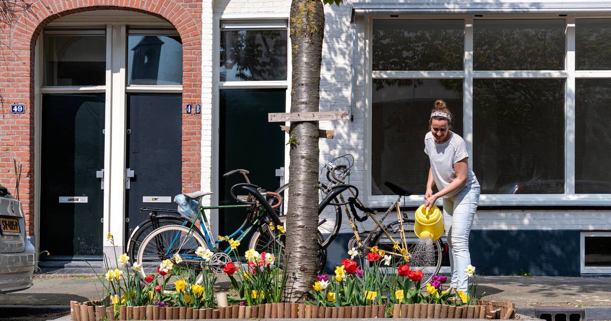 Alle groene vingers verzamelen: Boomspiegelfeest gaat weer van start