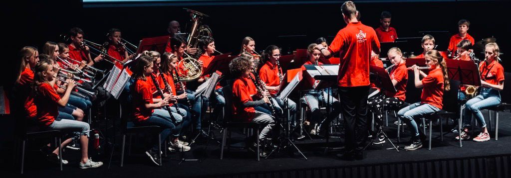 Geldinzameling Harmonieorkest Vleuten voor Handicap NL