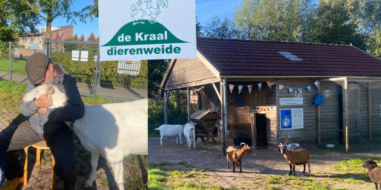 Feestdag dierenweide de Kraal