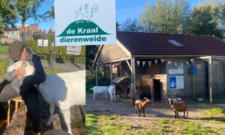 Feestdag dierenweide de Kraal