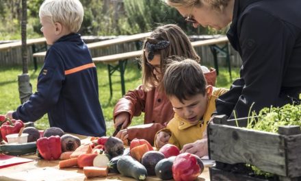 Oogstfeest op stadsboerderij Steede Hoge Woerd