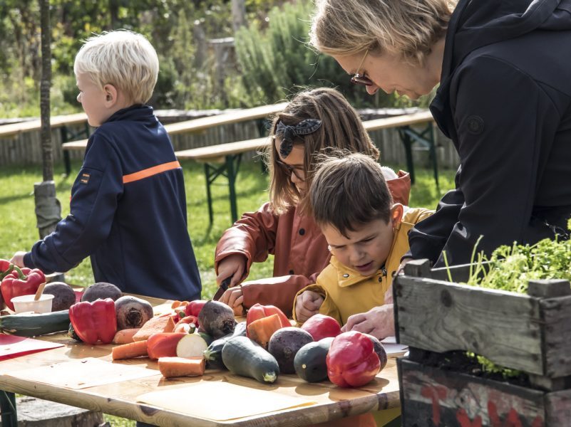 Oogstfeest op stadsboerderij Steede Hoge Woerd