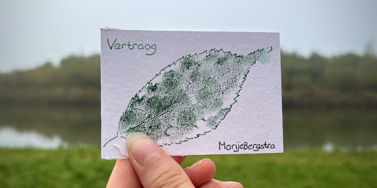 Vertraag-wandeling in het Máximapark