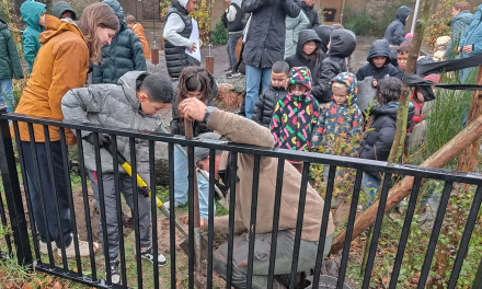 Gemeente Utrecht werkt aan groenere schoolpleinen door bomen te planten.