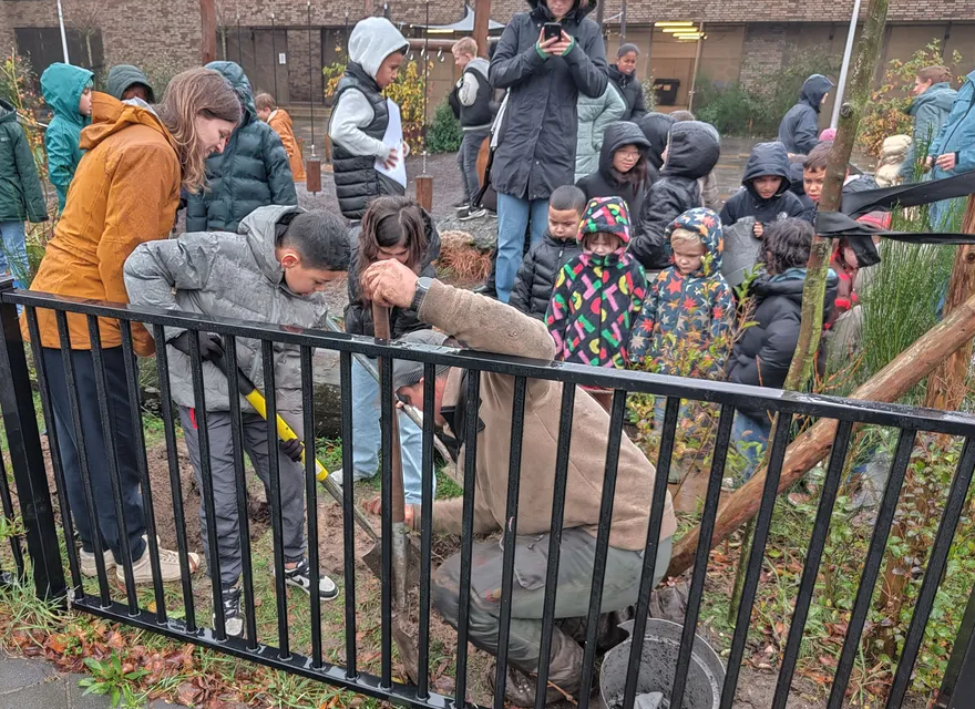 Gemeente Utrecht werkt aan groenere schoolpleinen door bomen te planten.