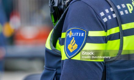 Afgelopen jaar minder inbraken, ook in Leidsche rijn?