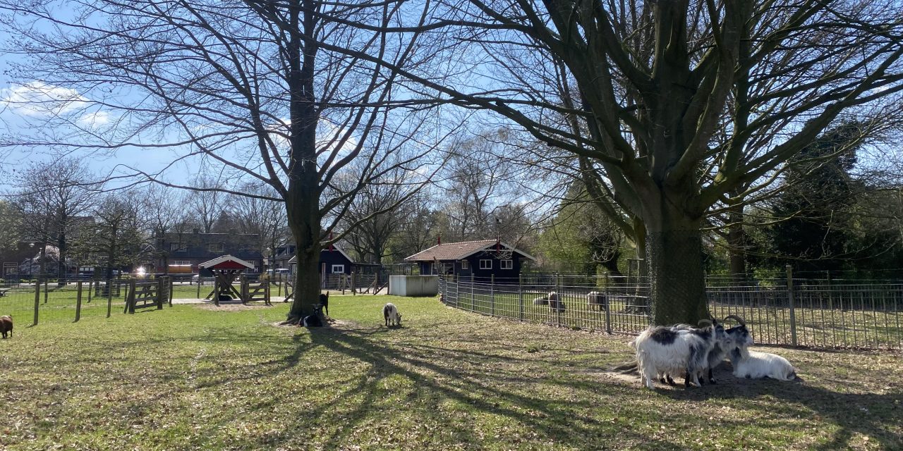 Invloed van de btw-verhoging bij dierenweide Haarzuilens