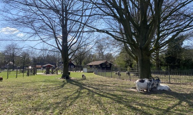 Invloed van de btw-verhoging bij dierenweide Haarzuilens