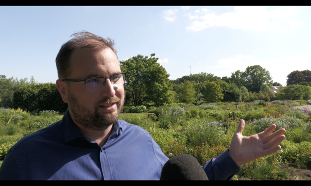 Wie is Dave de Jong? Een profiel van de kandidaat-lijsttrekker D66 Utrecht