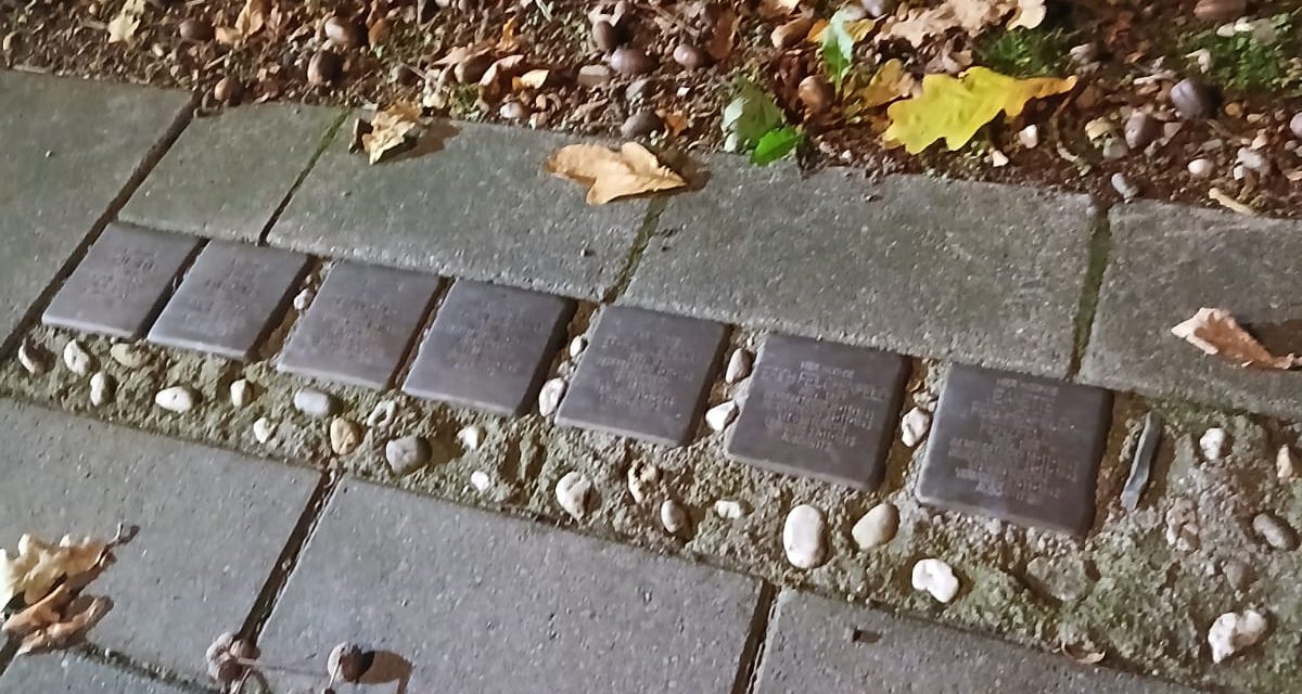 Zes Nieuwe struikenstenen op de Meerndijk geplaatst op 28 augustus