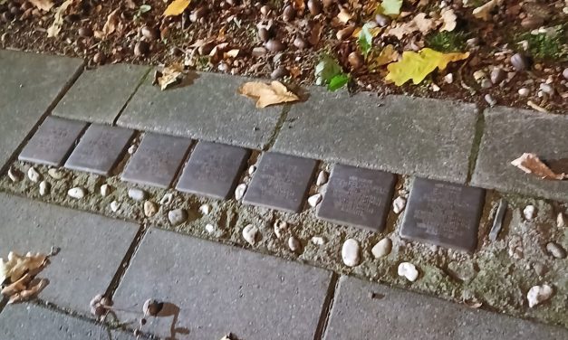 Zes Nieuwe struikenstenen op de Meerndijk geplaatst op 28 augustus