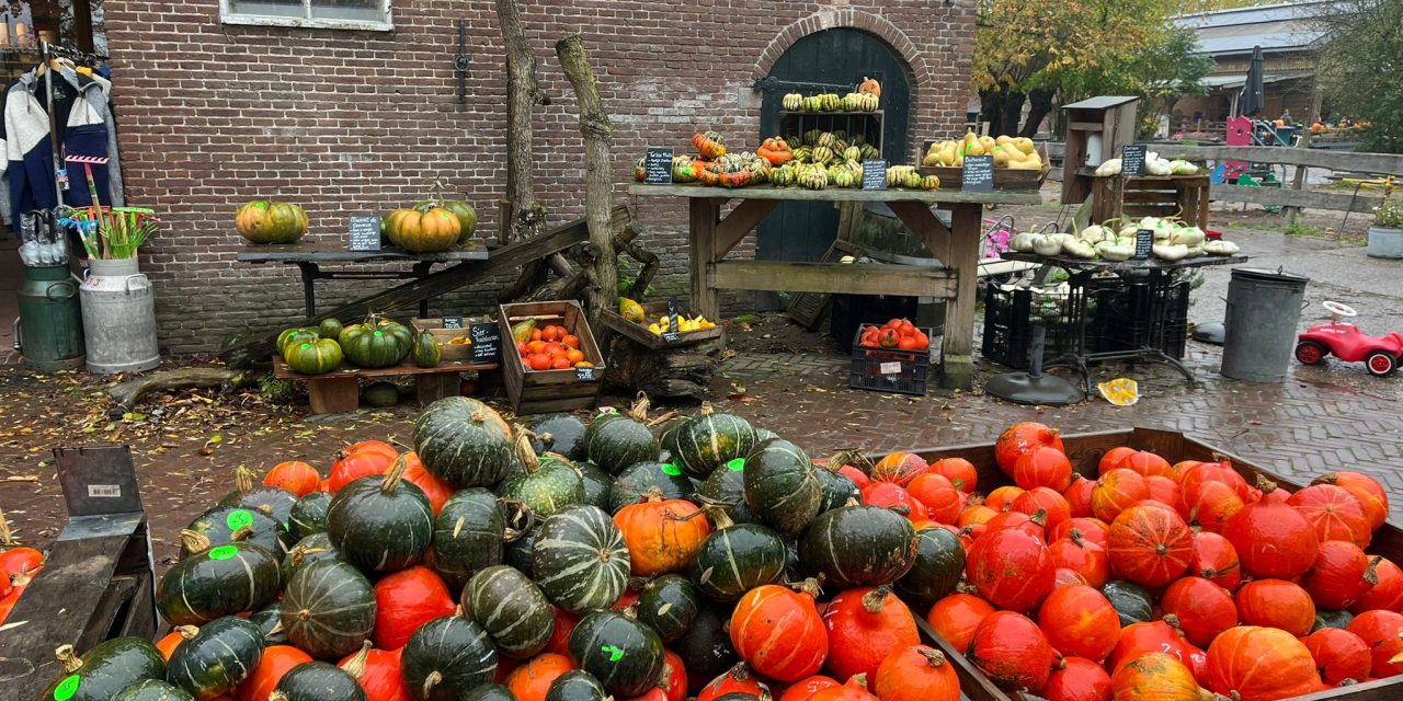Pompoenentijd bij boerderij Geertje’s Hoeve