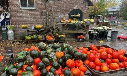 Pompoenentijd bij boerderij Geertje’s Hoeve