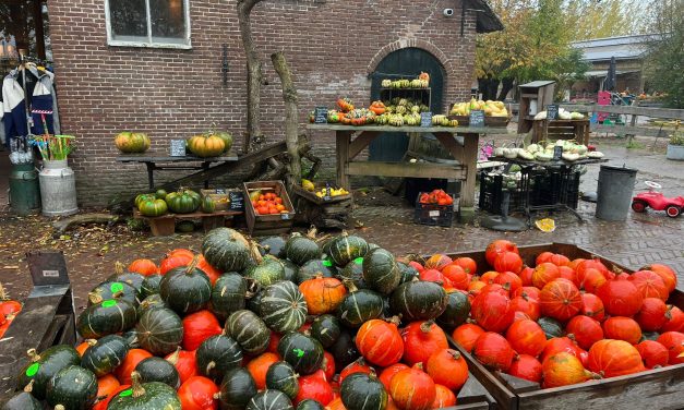 Pompoenentijd bij boerderij Geertje’s Hoeve