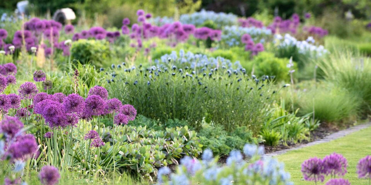Plantjesmarkt in de Vlinderhof wederom groot succes