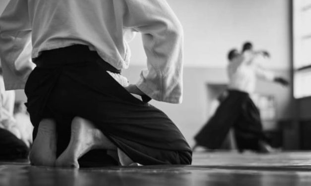 “Aikido is meer dan een krijgskunst. Het is een oefening in balans, respect en verbinding.”