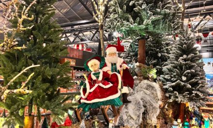 Wat er komt kijken achter alle kleuren en lichtjes van een kerstshow