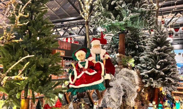 Wat er komt kijken achter alle kleuren en lichtjes van een kerstshow