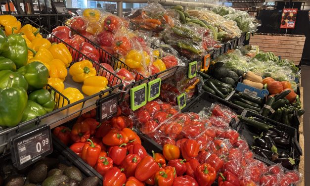 ‘Biologisch eten ook in Leidsche Rijn een trend’
