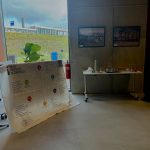 Beschermd: Kleine stapjes zijn de sleutel: Marlies’ weg terug naar zinvol leven