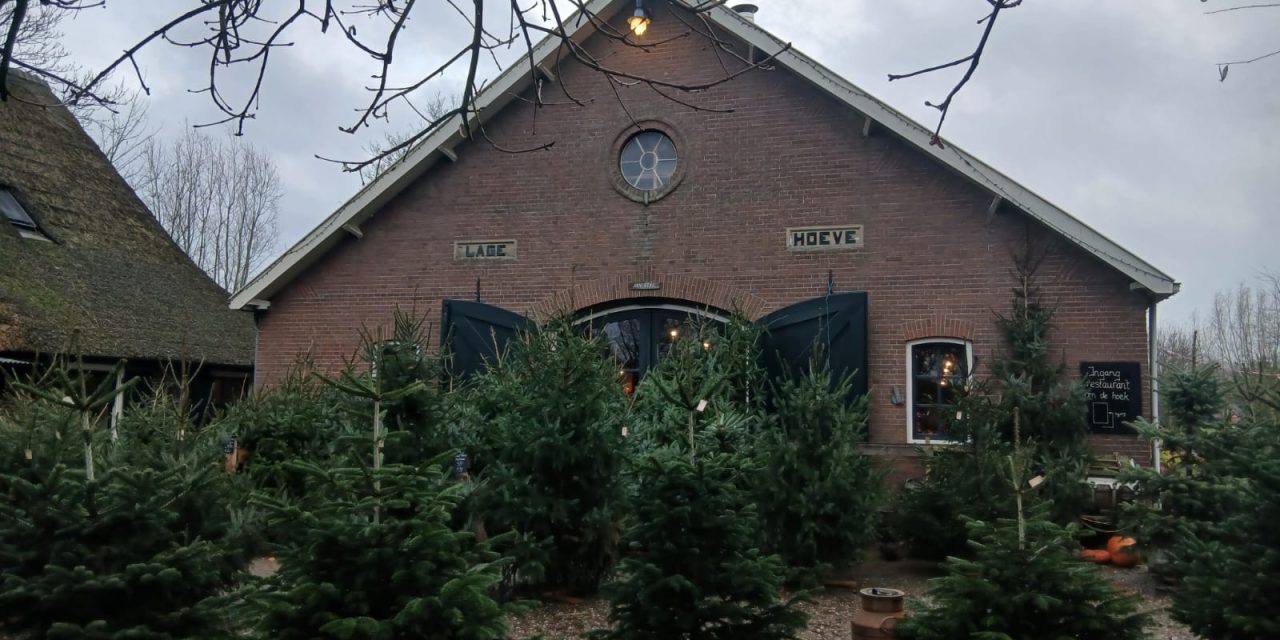 De vroege kersttrend slaat Leidsche Rijn over!