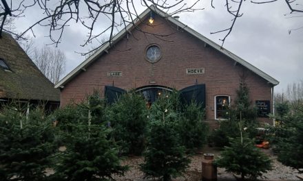 De vroege kersttrend slaat Leidsche Rijn over!