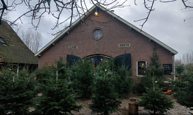 De vroege kersttrend slaat Leidsche Rijn over!