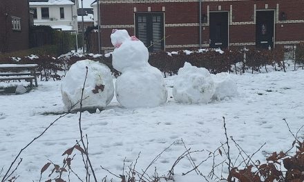 Sneeuw in Weespersluis wordt positief ontvangen