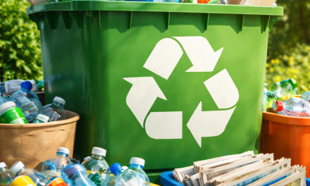 Opening Droppie door andere ogen