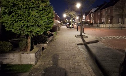 Noa Nutrition over gezondheid en diëten